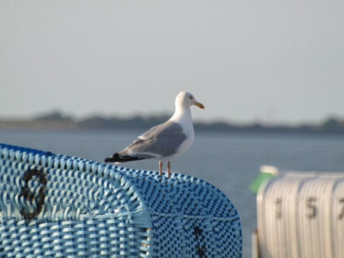 Strandlaeufer Schönhagen Kültér fotó
